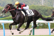 【2歳未勝利】4億馬ホウオウプロサンゲ、2戦目で無事勝ち上がる