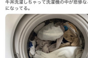 【悲報】Twitter民「間違って牛丼洗濯しちゃった」←14.5万いいねｗｗ
