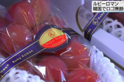 国が制裁しなきゃな　〜　【産経新聞】 韓国流出の高級ブドウ「ルビーロマン」、石川県「徹底的に戦う」　商標登録で巻き返しへ