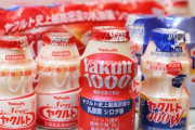 ヤクルト1000←お前らがこれを飲まない理由