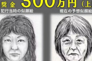 【画像】1999年の名古屋主婦刺殺事件の犯人、似顔絵似てるか似てないか