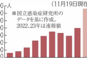 【謎】なぜか妊婦の梅毒が急増してしまう……