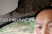 車の中にハチの巣！でも全く驚かないどころか笑顔すら見せるこの男性はいったい何者？