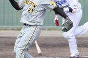 阪神・秋山　開幕候補の右腕が2回無失点　「先輩」福留との14球勝負で見せ場作り、手応え得た