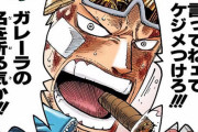 【ONEPIECE】船大工はパウリーになってほしかった