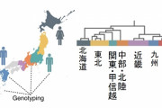 東大、都道府県レベルでみた日本人の遺伝的集団構造の調査結果を発表
