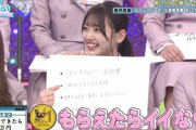【日向坂46】メンバーの『どうぶつピース』出演、現実味を帯びる