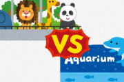 水族館?←こいつ動物園?と同格面してるけど圧倒的な差があるよな