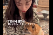 橋本環奈ちゃん　遂に犬の言葉を理解してしまう…もうこれ人間国宝だろ