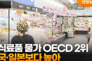 【物価の地獄】韓国「食べ物が高すぎる！」→世界「そりゃOECD2位だもん」