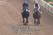 【競馬】　おまいら、調教動画って見てる？