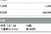東スポ以外のスポーツ新聞の競馬欄てクソすぎない？