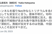 【※元首相】鳩ぽっぽ「汚染水は大量の不純物が含まれ極めて悪影響」→ファクチェ「デマです」