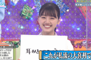 【日向坂46】意外と大喜利が得意なみーぱんｗｗｗｗｗｗｗ