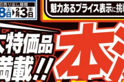 【朗報】PS5さん、もはやヤマダ電機のチラシに載るくらい在庫が潤沢に