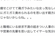 めいろま「蓮舫がだめなところはあの女の嫌な部分を凝縮したようなヒステリーな叫び声と態度」