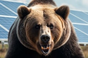 【SNSデマ】メガソーラー反対派なのに、「クマ被害増加はメガソーラーのせい!😡」界隈のせいで一緒くたにされてツラい…(´･(ｪ)･｀)