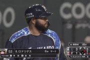【悲報】日ハムR.ロドリゲス.000(14-0)