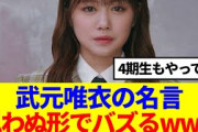 【櫻坂46】武元唯衣の名言、思わぬ形でバズるwww