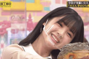 【乃木坂46】筒井あやめ×公式カエル ひっひっひ.gif【乃木坂工事中】