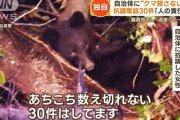 クマ駆除に抗議電話する女性「野生の生き物は癒やしなの！田舎者がどうなろうが知ったことではない！」
