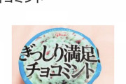 ガチで生涯で一度もチョコミントアイスを食べたことないんやけど美味いんか？?
