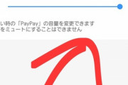PayPayの決済音最大にしてる部