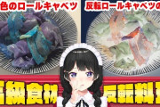 【にじさんじ】委員長、食欲減退色だけど高級な飯 VS 普通色の安価料理！将太の寿司草