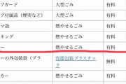 環境左派メディア「プラ製ストローで海洋汚染」⇒ プラ製ストローは可燃ごみです！