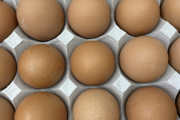 日本の鶏卵価格は韓国の3分の1、なぜそんなに安い？＝韓国ネット「うらやましい」「韓国が高すぎ」