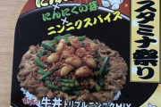 ワイ、すき家のニンニクMIXを食べにくる