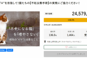 【詐欺】和歌山市さん野良猫保護のクラウドファンディングで２千数百万集めるも猫のために使わず予算まで削減ｗｗｗｗｗｗｗｗｗｗｗｗ