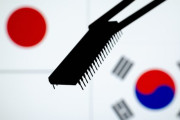 そろそろ外された自覚を持とうよ　～　【中央日報社説】刀抜いた日本の半導体ドリームチーム、冬眠する韓国のＫ－ＣＨＩＰＳ法 [
