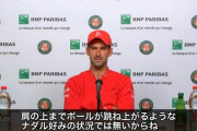 有識者「今回の全仏の環境はジョコビッチ有利！ナダル不利！！」←これなんだったの