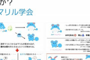 【画像】チー牛「ポケモンの研究論文を書いてみた！ｗ」ｶｷｶｷ