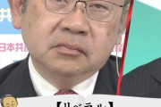 リベラル勢力を胡散臭がっているのは、ネトウヨだけでは無い