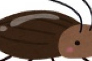 【ﾋｨ..】殺虫剤でのゴキブリ退治はゴキブリを強くするだけだった事が判明ｗｗｗｗｗｗｗｗｗ