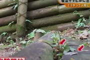 ワイキャンプ初心者、ヒルの動画を見て戦慄