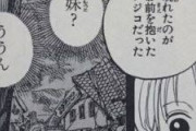 【朗報】ワンピースのナミ、ゴールド・ロジャーの娘だったｗ本名は「ゴール・D・アン」伏線が凄すぎる