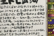 尾田栄一郎「ワンピースが20年経っても終わらないのは七武海のせい。二武海にすればよかった…」