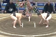【動画】相撲の九州場所に最弱の力士が登場するｗｗｗｗｗｗ