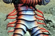 【更新】ムカデがモチーフの特撮のキャラを語ろう