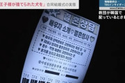 【旧統一教会】元信者が語る合同結婚式の実態 「韓国人に嫁ぐというのは、本当に光栄なんだっていうような話をされた」 夫は信者でない人が多い【洗脳と権力浸透が伝統芸】
