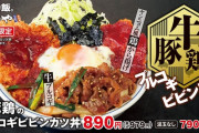 かつや、プルコギ牛肉・ロースカツ・鶏から揚げの3種丼890円（税込979円）を発売