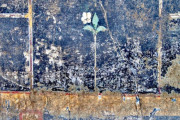 【考古学】ポンペイの邸宅跡の壁から少女の落書きが発見され古代ローマの名族の可能性が高まる