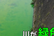 【悲報】奈良県生駒市の川、突然緑色に発光してしまう・・・