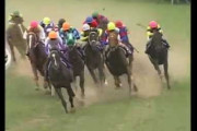 【悲報】香港G1馬パンフィールドが来日見送り……今年は宝塚記念の外国馬参戦はなし
