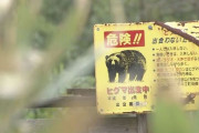 【北海道】ヒグマ退治？報酬8500円じゃ無理！ハンター激怒