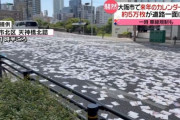 【画像】カレンダー５万枚散乱で通行規制　大阪