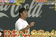 【炎の体育会TV】怪物・横尾俊建さん、日ハムの若き主砲で未来の4番だった